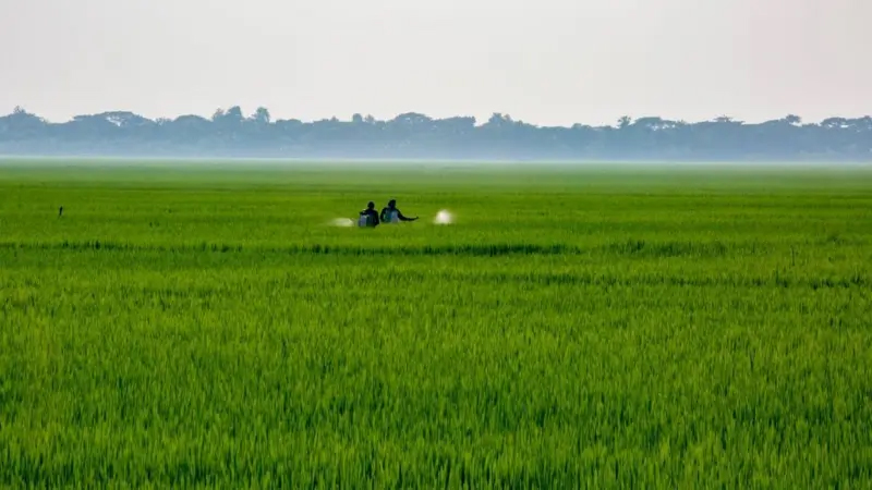 ভারতে প্রথমবারের মতো কৃষকদের মধ্যে মৃত্তিকা কার্বন ক্রেডিটে অর্থ প্রদান শুরু
